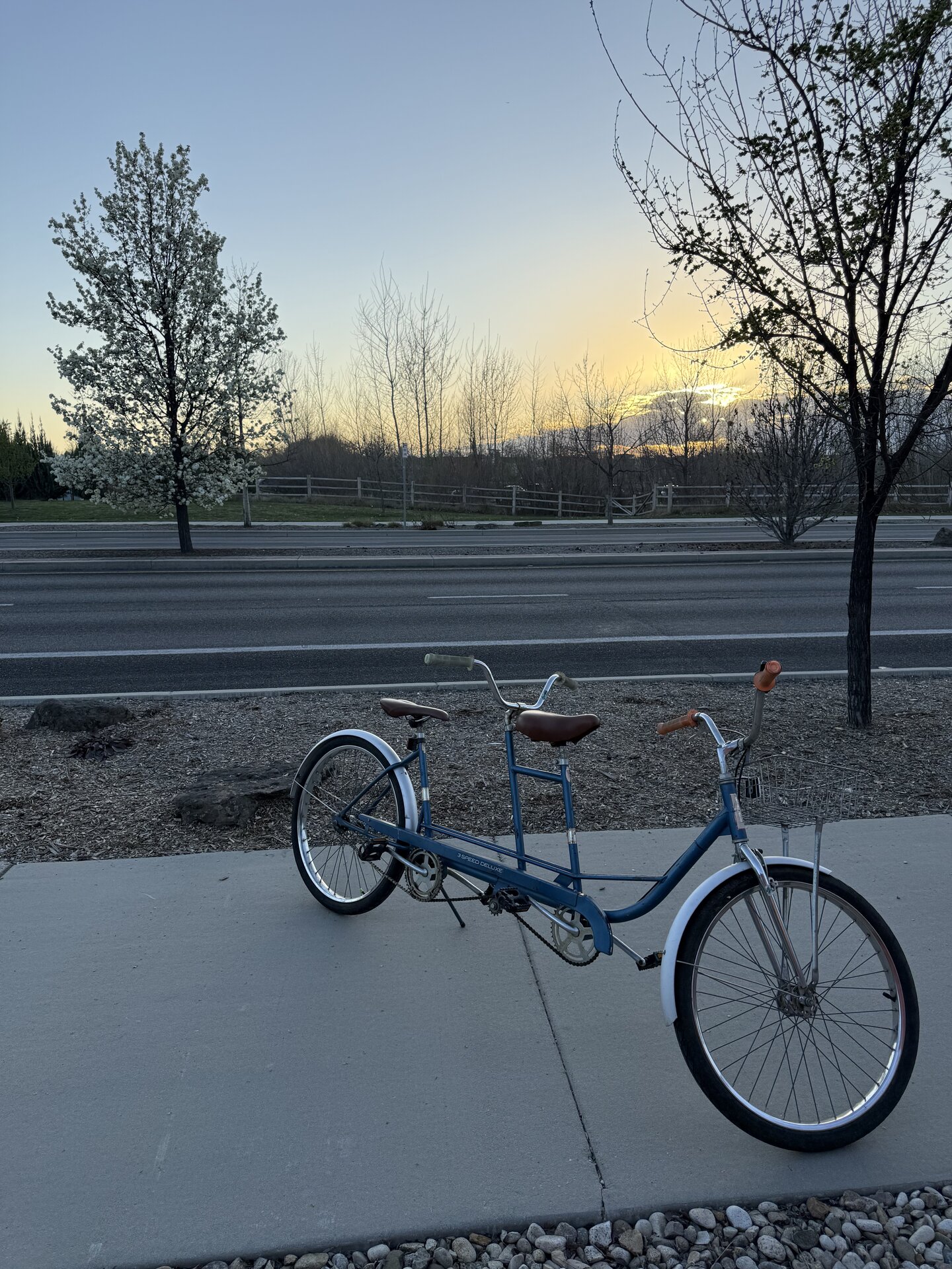 old_blue_1774457548.jpg