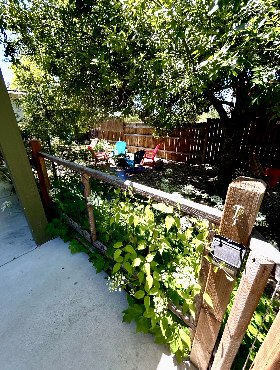 Backyard bliss
